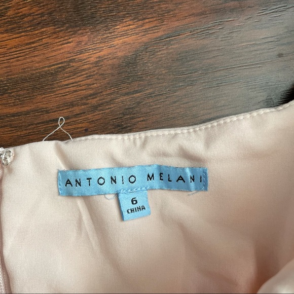 Antonio Melani Lori Blush Asymmetrical Midi Dress - Picture 4 of 5